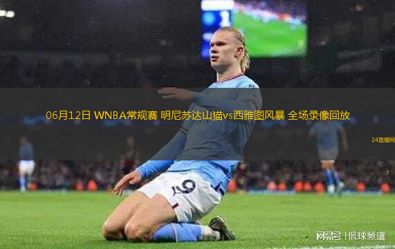 06月12日 WNBA常規(guī)賽 明尼蘇達(dá)山貓vs西雅圖風(fēng)暴 全場(chǎng)錄像回放