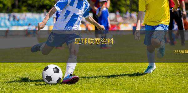 足球聯(lián)賽資料