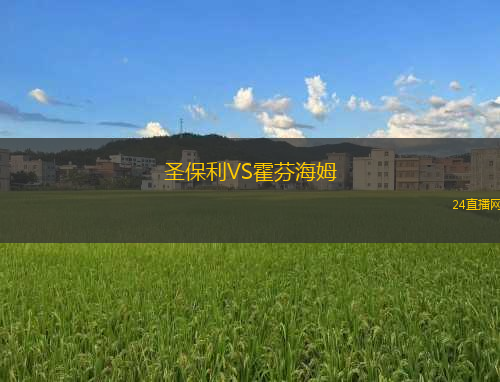 圣保利VS霍芬海姆