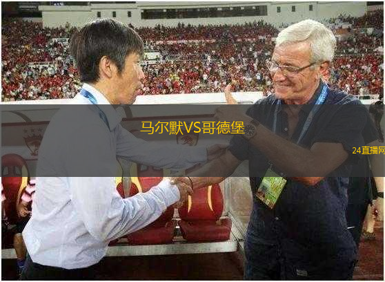 馬爾默VS哥德堡