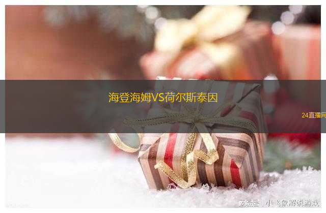 海登海姆VS荷爾斯泰因