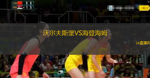 沃爾夫斯堡VS海登海姆