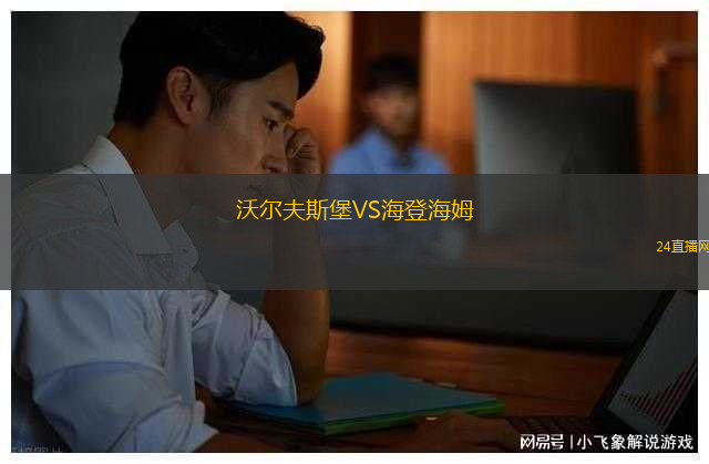 沃爾夫斯堡VS海登海姆
