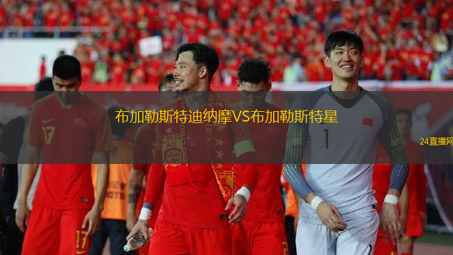 布加勒斯特迪納摩VS布加勒斯特星