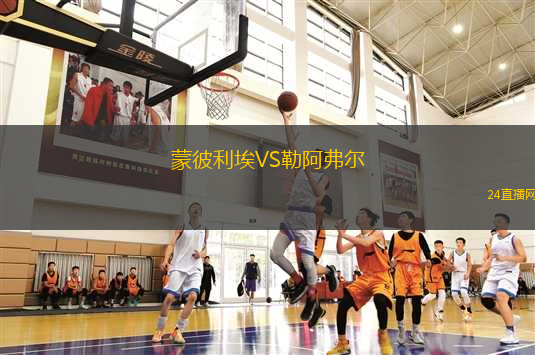 蒙彼利埃VS勒阿弗爾