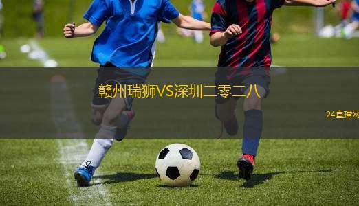 贛州瑞獅VS深圳二零二八