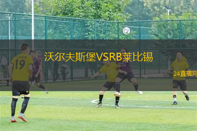 沃爾夫斯堡VSRB萊比錫