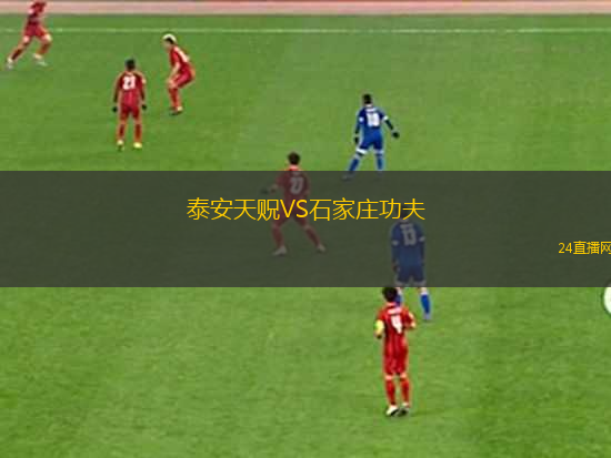 泰安天貺VS石家莊功夫