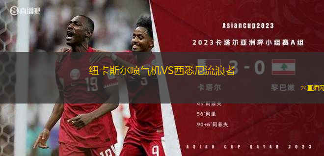 紐卡斯?fàn)枃姎鈾C(jī)VS西悉尼流浪者