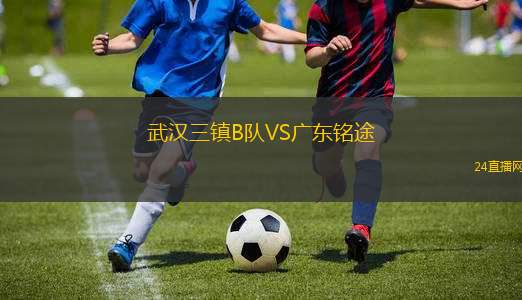武漢三鎮(zhèn)B隊(duì)VS廣東銘途