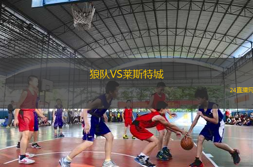 狼隊(duì)VS萊斯特城