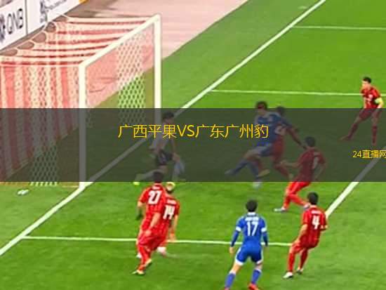 廣西平果VS廣東廣州豹