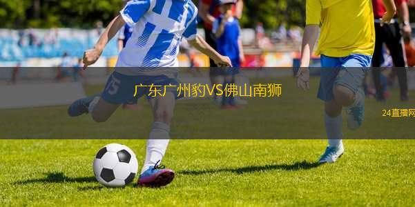 廣東廣州豹VS佛山南獅