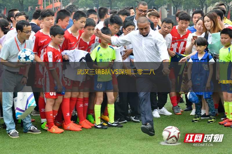 武漢三鎮(zhèn)B隊VS深圳二零二八