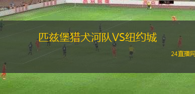 匹茲堡獵犬河隊VS紐約城