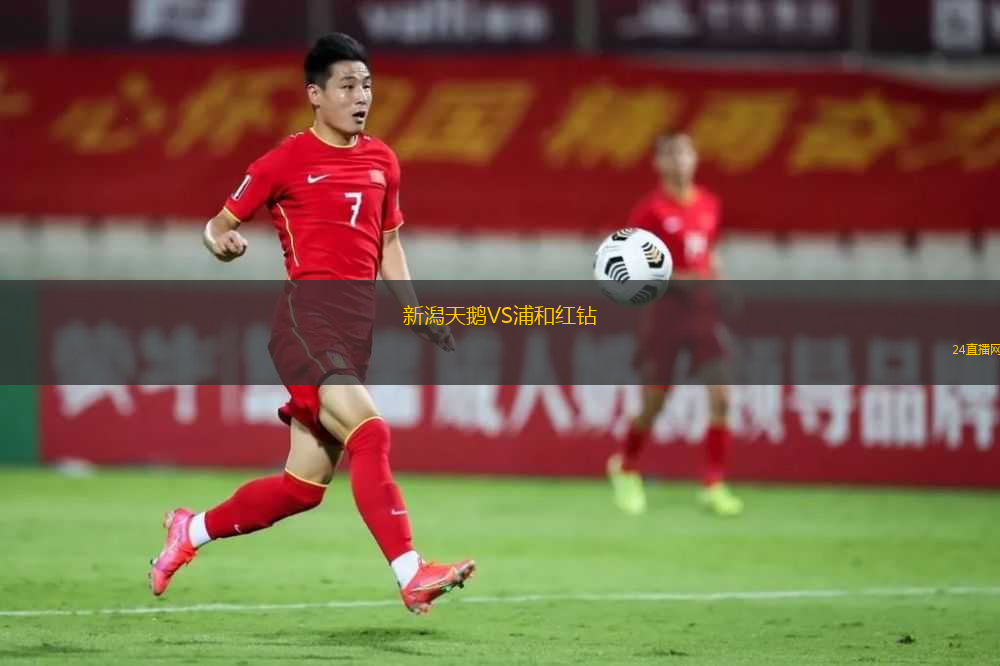 新潟天鵝VS浦和紅鉆