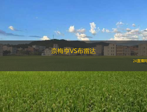 奈梅亨VS布雷達