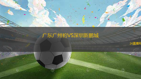 廣東廣州豹VS深圳新鵬城