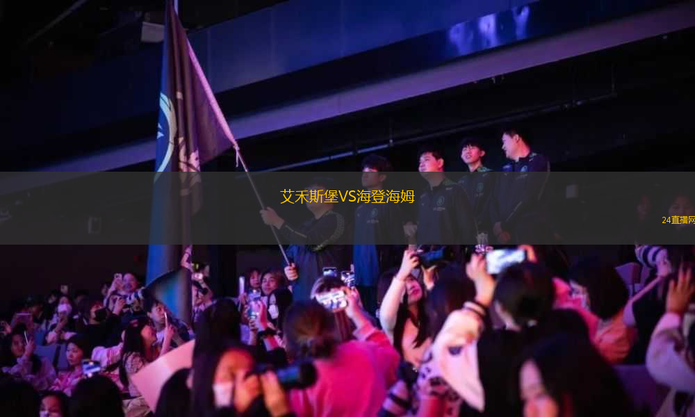 艾禾斯堡VS海登海姆