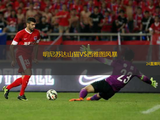 明尼蘇達(dá)山貓VS西雅圖風(fēng)暴