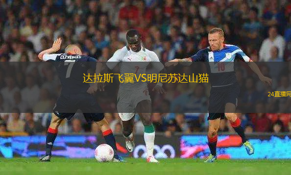 達(dá)拉斯飛翼VS明尼蘇達(dá)山貓