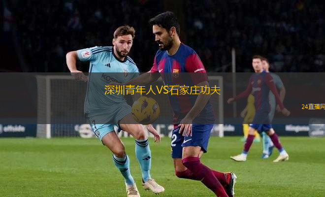 深圳青年人VS石家莊功夫