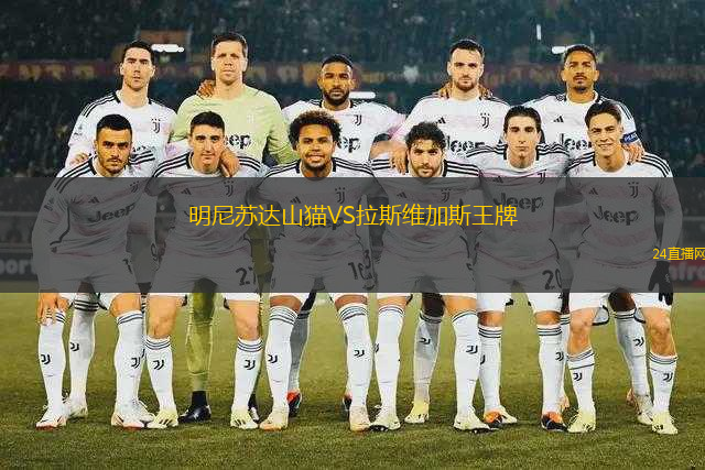明尼蘇達(dá)山貓VS拉斯維加斯王牌