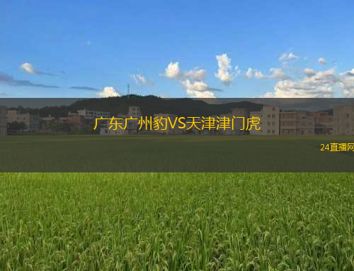 廣東廣州豹VS天津津門虎