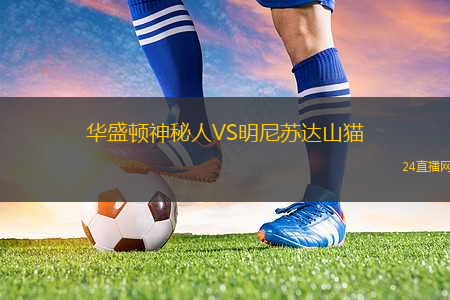 華盛頓神秘人VS明尼蘇達(dá)山貓