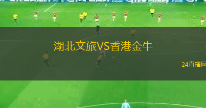 湖北文旅VS香港金牛