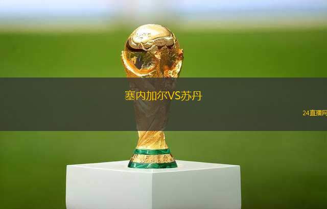 塞內(nèi)加爾VS蘇丹