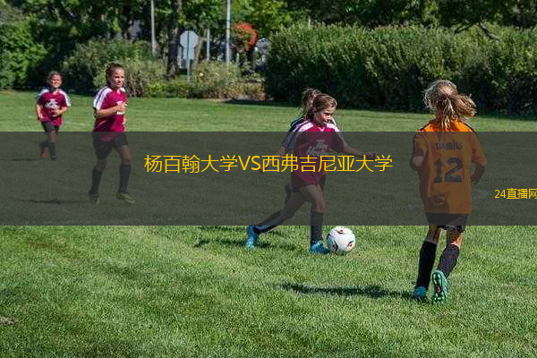 楊百翰大學VS西弗吉尼亞大學